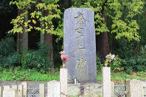014-2.jpg