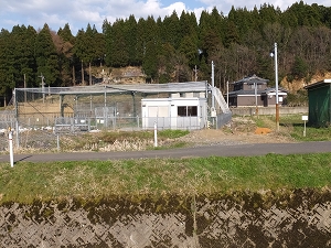 102.jpg