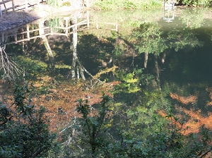 160.jpg