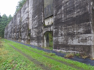 184.jpg