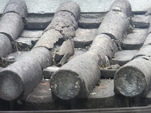 224.jpg