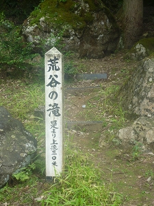 P1040138.jpg