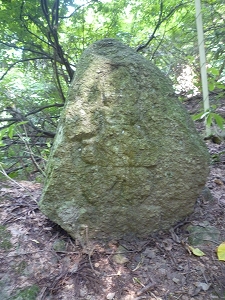 P1050082.jpg
