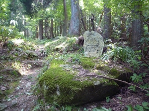 P1050084.jpg