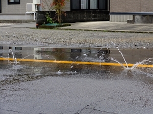DSCF8448.jpg